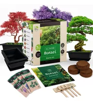 Kit Completo Para Cultivar Su Propio Bonsái Herramientas Sem