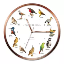 Reloj Pared Pájaros De Chile
