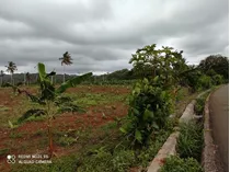 Vendo Terreno En Las Galeras Samana A 15 Min De La Playa. 