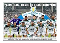 Palmeiras - Campeão Brasileiro 2018 [30x42cm]