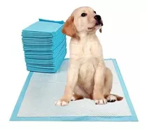 Pañal De Entrenamiento De Piso Para Perro Talla L Absorbente