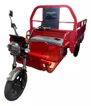 Triciclo Torito Electrico Pegaso Ebike Atlas Xl Gaja Grande