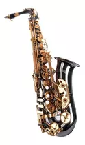 Saxofone Alto Negro Fontai Ft6430bn Garantia / Abregoaudio
