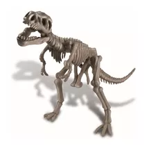 Brinquedo Educativo - Escavação  Tiranossauro Rex - 4m