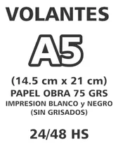 500 Volantes A5 (medio A4) Tinta Negra Papel Obra 75 Grs