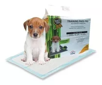 Paños De Entrenamiento Pet Home 100u. Pet Shop Beto