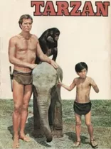 Tarzan Tv. Serie 60's Ron Ely Temporada Capitulos. Dvd