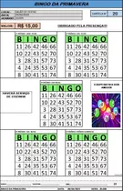 Cartelas De Bingo - Gerador E Gerenciador De Rodadas Bingo