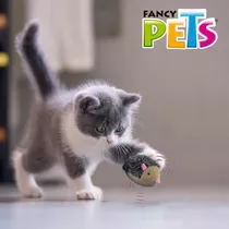 Fancy Pets Catch Juguete Para Gato Vibra Al Jalar Cuerda