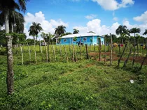 Té Vendo Excelente Finca En San José De Los Llano