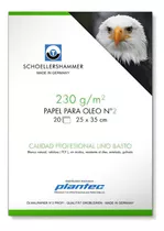 Block Papel Oleo 25x35 20 Hjs 230 Grs Plantec Color Blanco