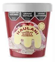 Helado Vegano Sabor Chocolate Blanco - Haulani - 370ml