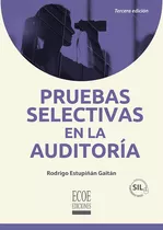 Pruebas Selectivas En La Auditoría