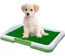 Baño Sanitario Para Perro Y Gatos Bandeja Mascota Puppy Pott