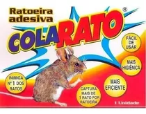 Kit 10 Unidades Ratoeira Adesiva Cola Rato Aranhas Pragas 