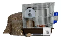 Combo Jaula Hamster Mediana Con Accesorios   Y Mascota