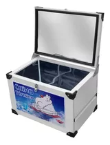 Caixa Térmica Cooler 278 Litros Ctg-300 Interior Galvanizado Voltagem Da Bateria Não Possui