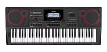 Organo Teclado Ct-x5000 Casio 61 Teclas Profesional