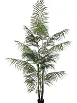 Palmera Areca Artificial 210cm  - Corel