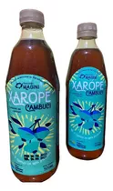 Kit 2 Xaropes Gourmet De Cambuci (frutamataatlântica) Drinks