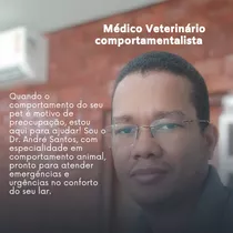 Veterinário, Consulta Em Domicílio Palmas E Região 