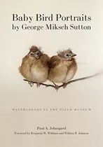 Baby Bird Portraits By George Miksch Sutton Watercolors In T