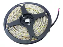 Cinta Luz Led Tira 5mt Rollo 24volt Flexible Purpleshopcl