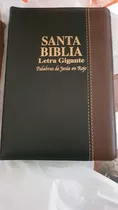 Biblia Reina Valera Letra Gigante Pdf O Fisica