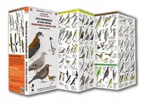 Guía De Aves Continentales De Chile Central
