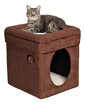The Curious Cat Cube, Casa Para Gatos, Condominio Para Gatos
