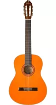 Guitarra Acustica Washburn C5 Technicalshopcl