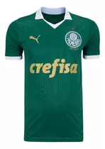 Camisa Puma Palmeiras Verde 24/25 Torcedor