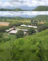 Venta Finca Agropecuaria 2 Hectáreas Santa Cruz, Edo. Aragua.