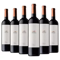 Vino Alma Mora Malbec Tinto 750ml - Caja X6 Botellas Pack