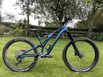 2019 Specialized Stumpjumper Carbon Bicycle