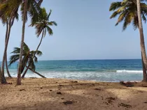Terreno Con Playa En Punta Cana Miches