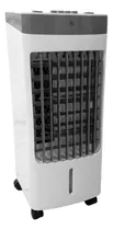Climatizador Portátil 3,5l Com Acessórios Cor Branco 220v