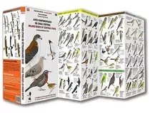 Guia De Aves Continentales De Chile Central