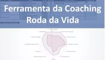 Roda Da Vida Em Planilha Excel - Ferramenta Da Coaching