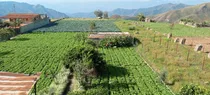 Lote De Terreno Para Operaciones De Carácter Agrícola.