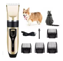 Máquina De Tosa Profissional Recarregável Cães Gatos Pet Cor Dourado 110v/220v