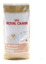 Royal Canin Labrador Retriever Junior 12kg Envio Gratis T#