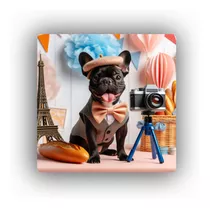 Mousepad Bulldog Frances Fotografo Photo Camara