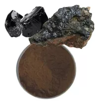 Shilajit Extracto Atomizado Polvo Puro 1 Kg - Importado