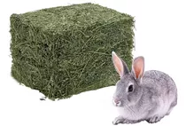 Heno De Alfalfa 5 Kg Para Roedores Conejos Cuy Hamster