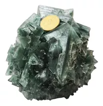 Fluorita Verde De Cultivo 1178 Gramos $ 1.000.000