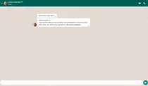 Template Whatsapp E Instagram Para Typebot