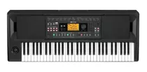 Órgano Electrónico Korg Arranger Profesional Ek-50, Negro