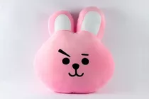 Almohada Cojín Peluche  Bts  Bt21 Cooky Conejo