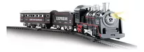 Trem Locomotiva Com Pista 67,5cm Luz E Som- Dm Toys